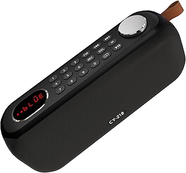 Portable Bluetooth Speaker FM Radio Digital, Support USB/SD Card MP3 Music Player/AUX/REC, Build-in 3000mAh Rechargeable Battery, 10W Powerful Speaker and Earphone Jack for Indoor Outdoor