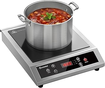 Stainless Steel Induction Cooktop, Professional-Grade Portable Induction Cooker with Precise Temperature Control, 10-Hour Timer, Powerful 1800W Countertop Hot Plate